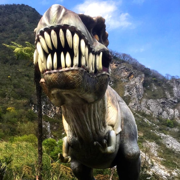 Sorprenderse en el Expo Parque de Orizaba